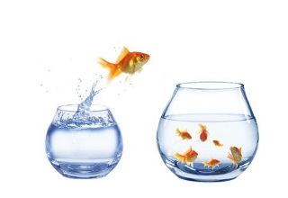 Need New Friends? 5 Tips to Grow Your Social Network